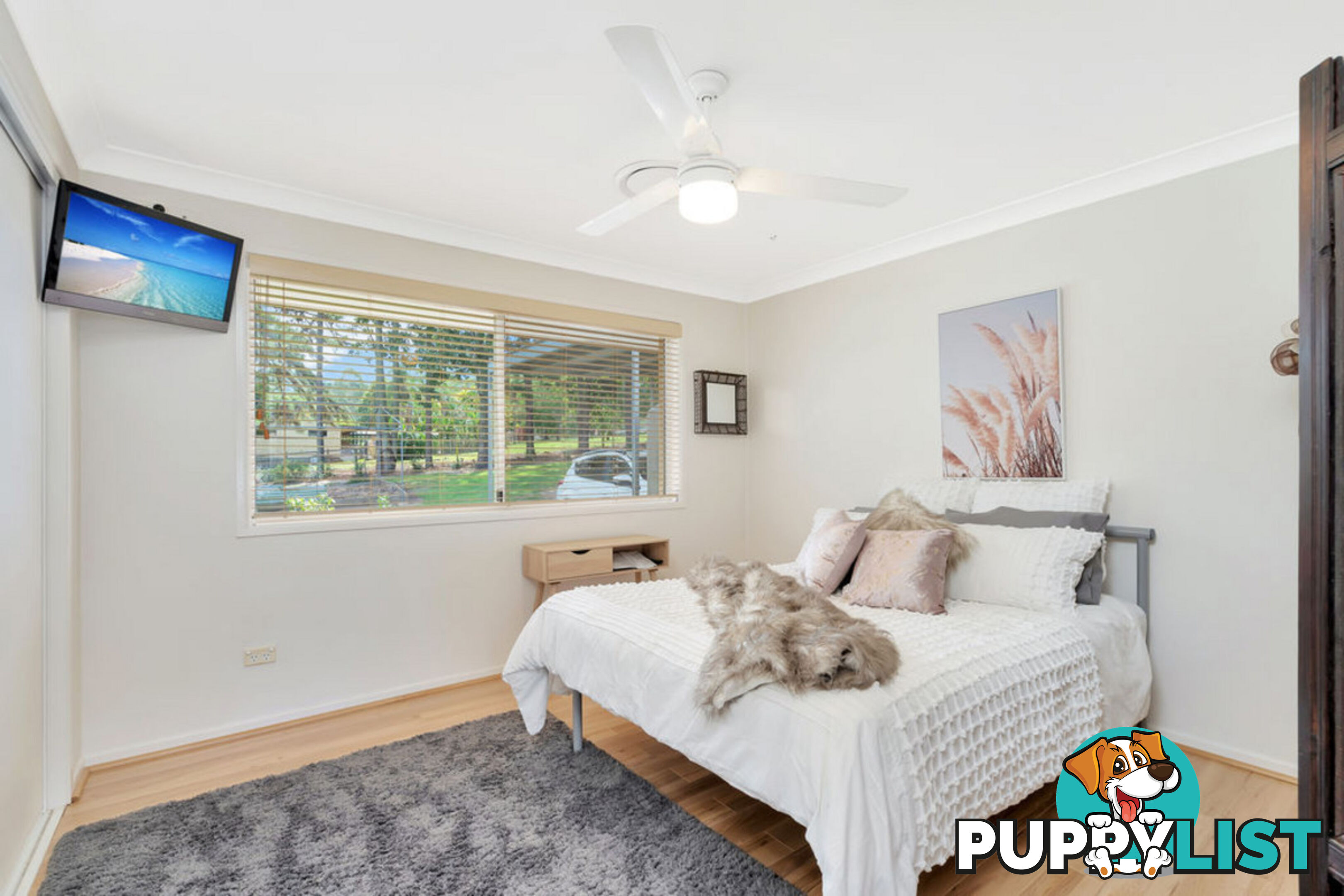 3119 Beechmont Road CANUNGRA QLD 4275