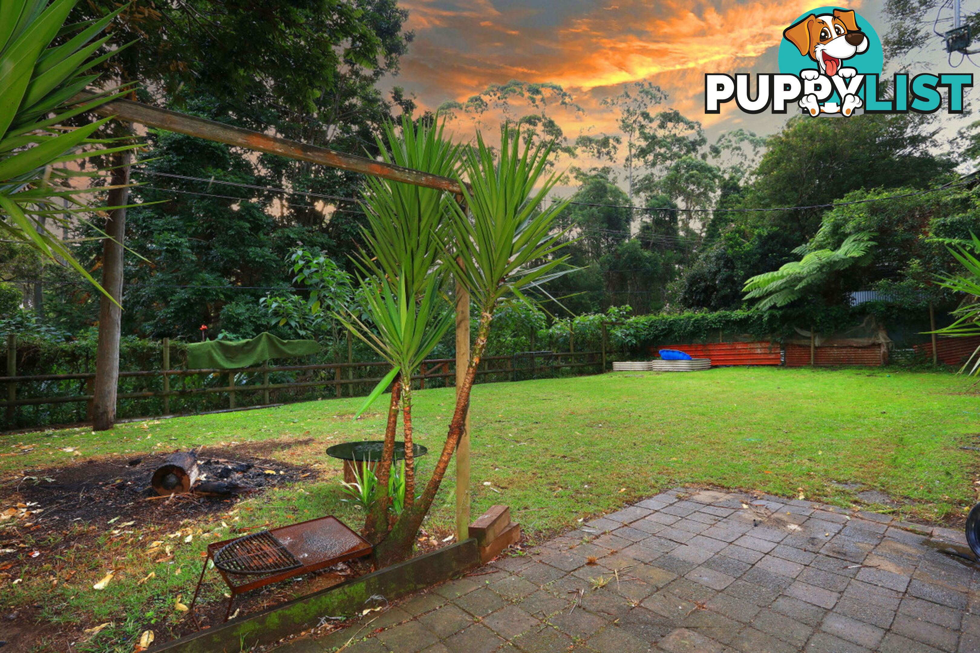 2206 Springbrook Road SPRINGBROOK QLD 4213