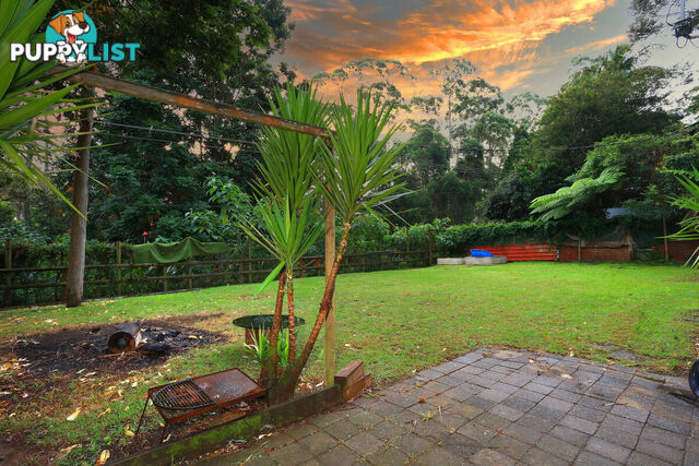 2206 Springbrook Road SPRINGBROOK QLD 4213
