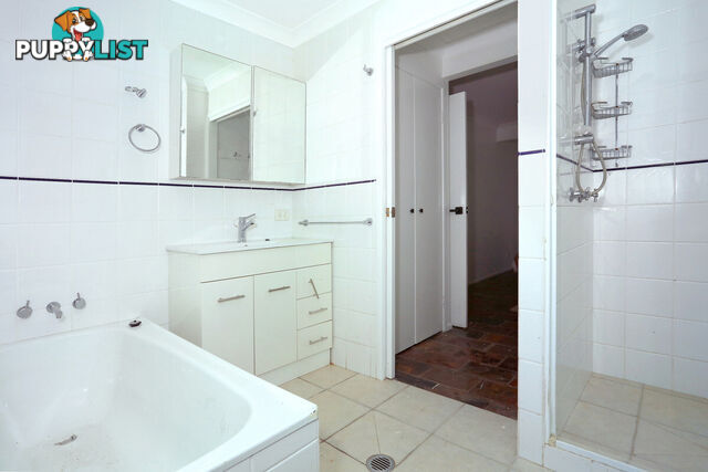2206 Springbrook Road SPRINGBROOK QLD 4213