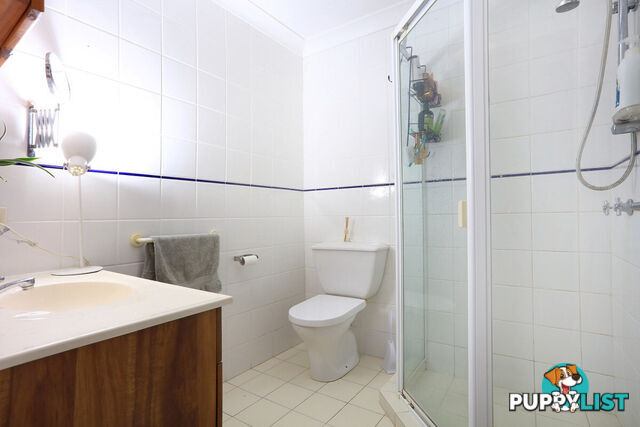 2206 Springbrook Road SPRINGBROOK QLD 4213