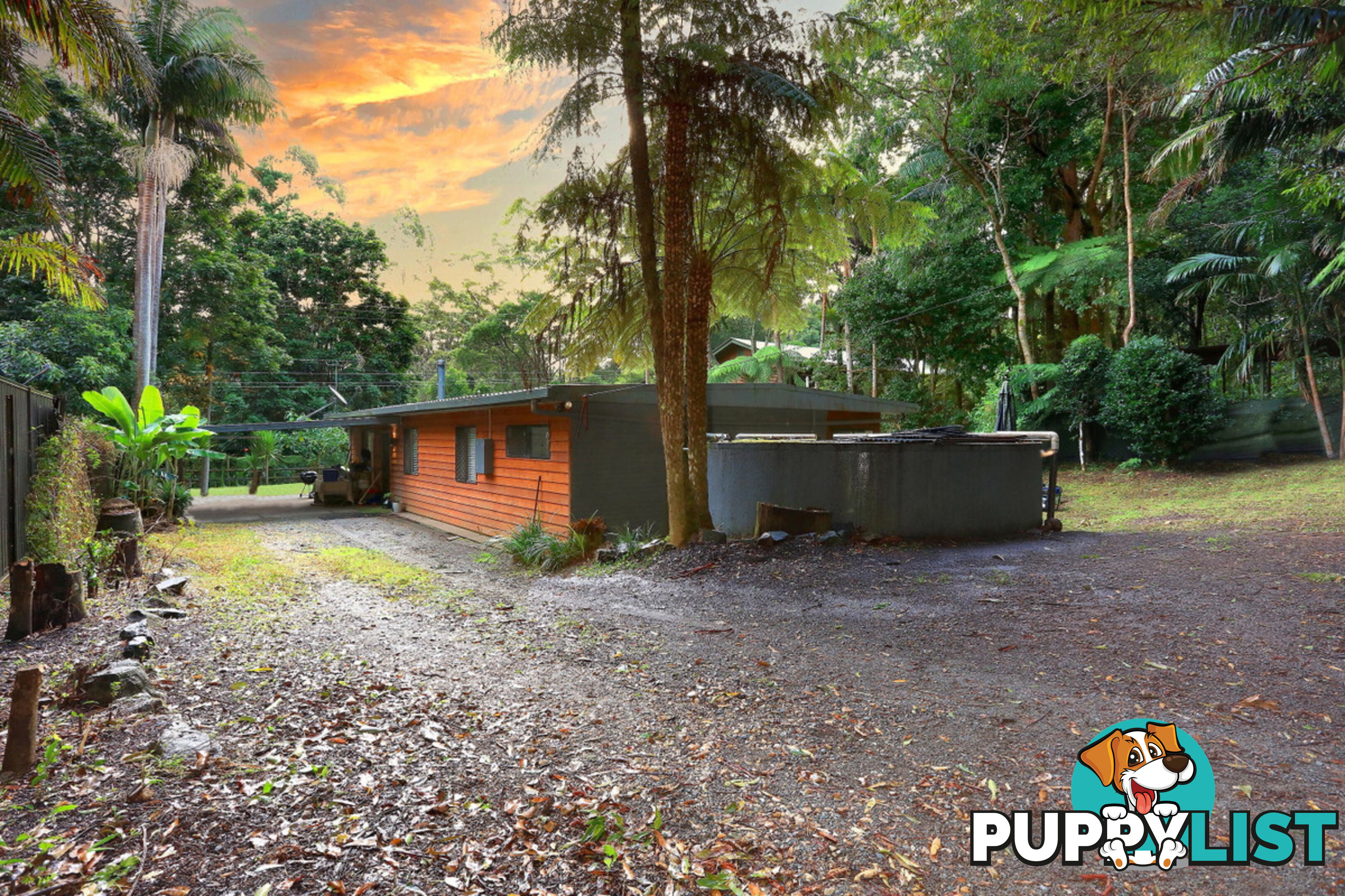2206 Springbrook Road SPRINGBROOK QLD 4213