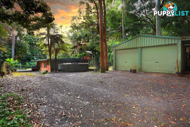 2206 Springbrook Road SPRINGBROOK QLD 4213