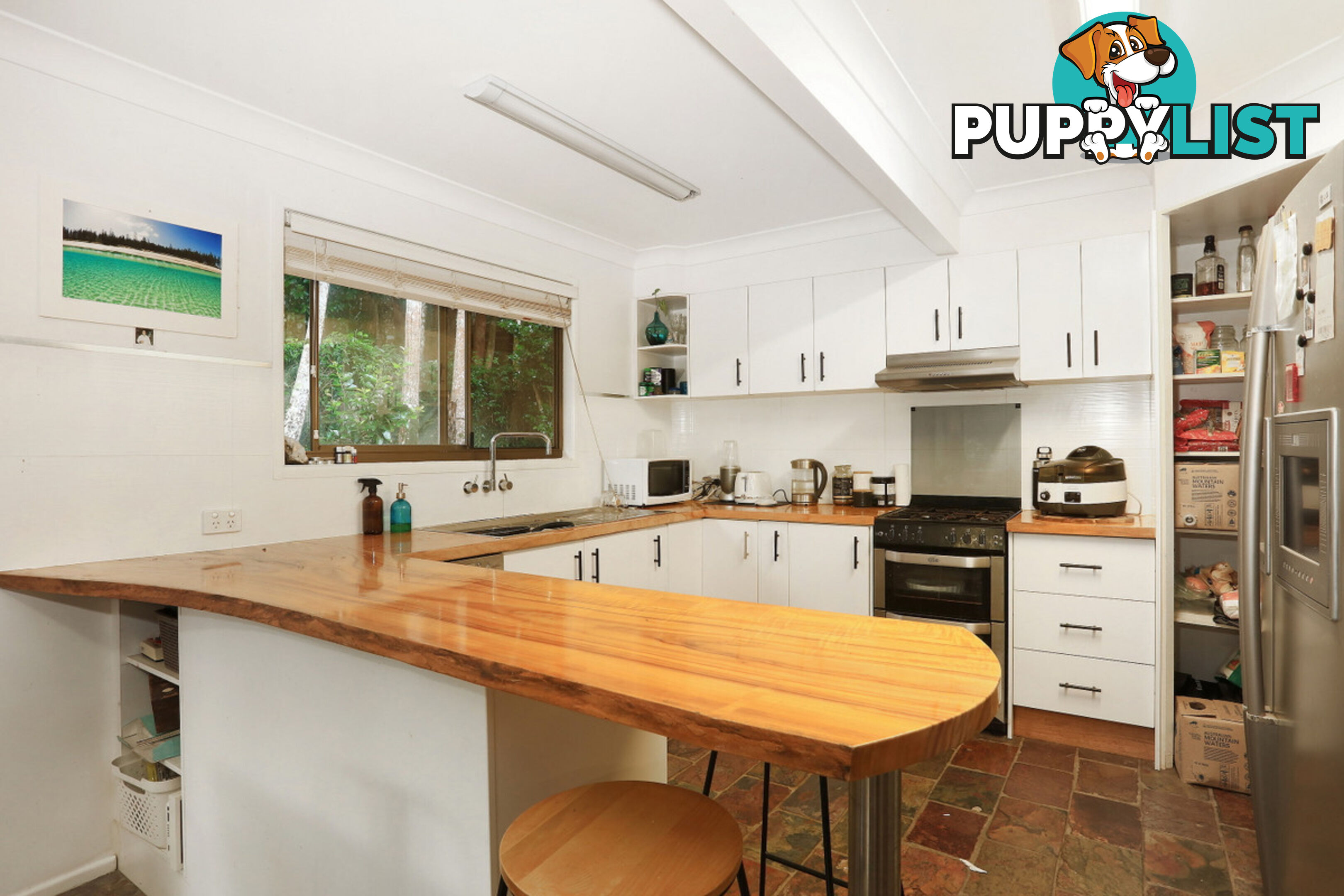 2206 Springbrook Road SPRINGBROOK QLD 4213