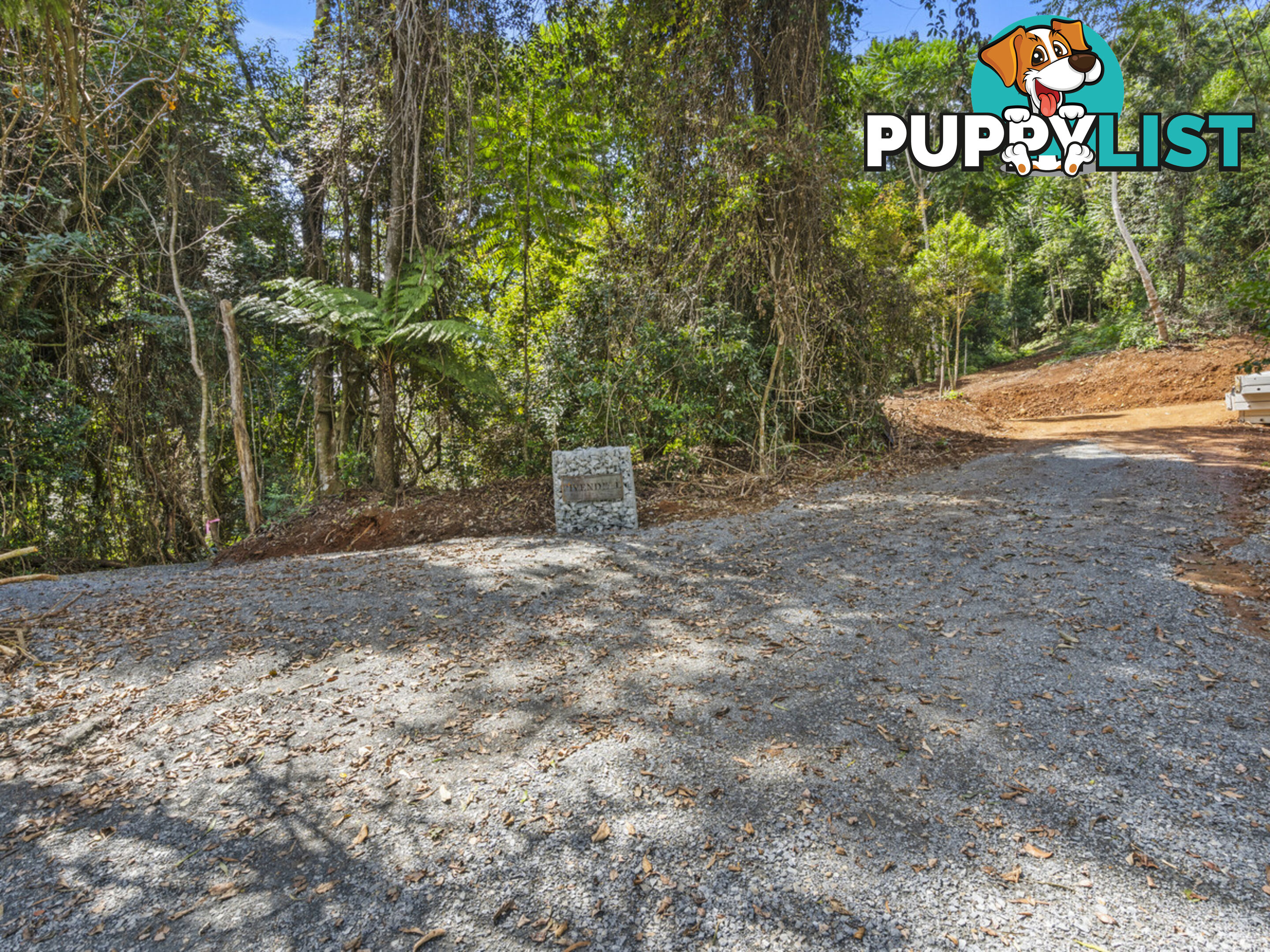 2481 Springbrook Road SPRINGBROOK QLD 4213