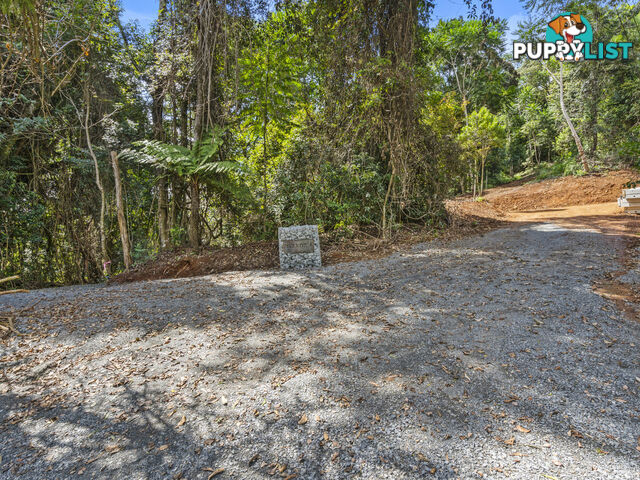 2481 Springbrook Road SPRINGBROOK QLD 4213