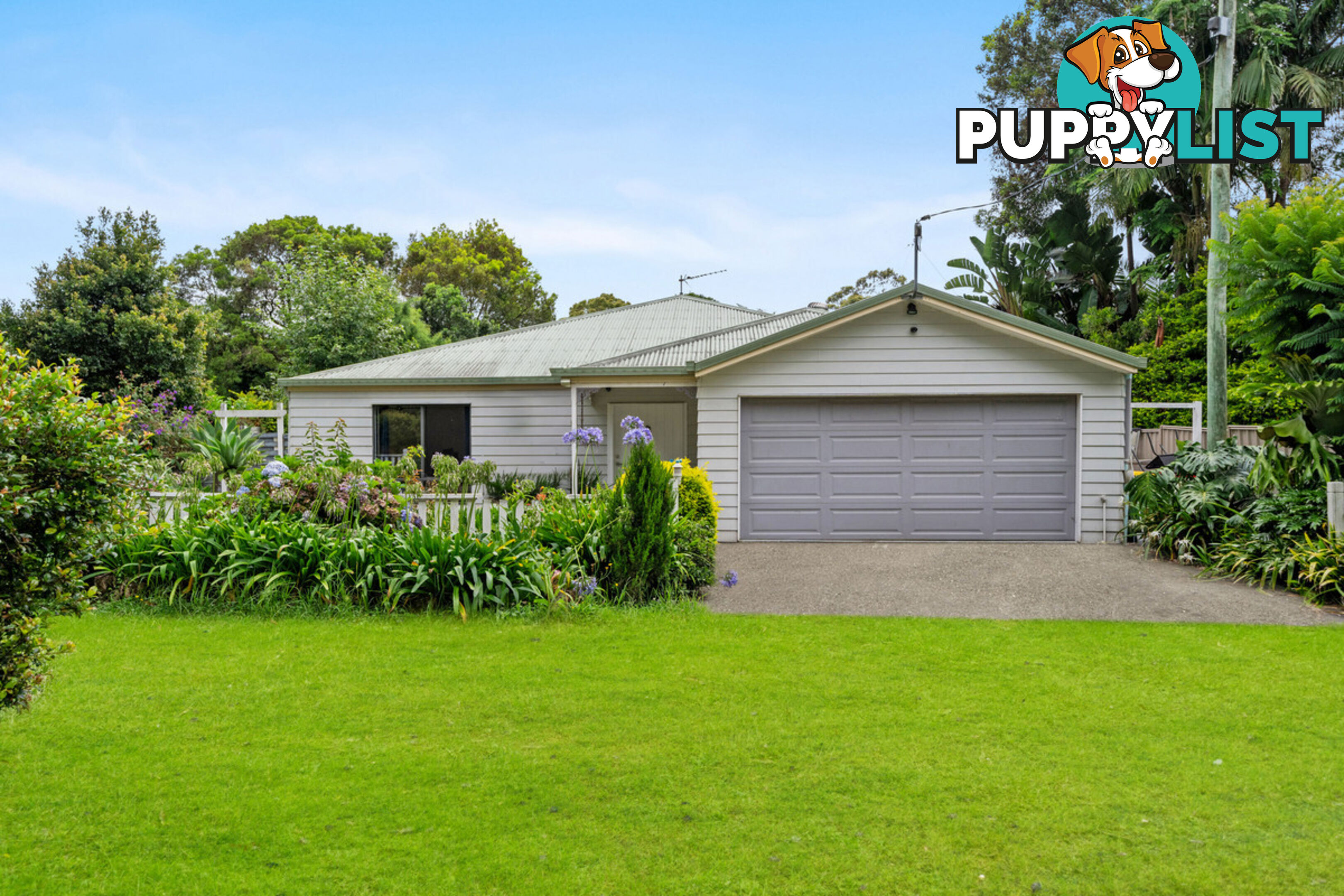 2317 Springbrook Road SPRINGBROOK QLD 4213