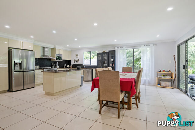 2317 Springbrook Road SPRINGBROOK QLD 4213