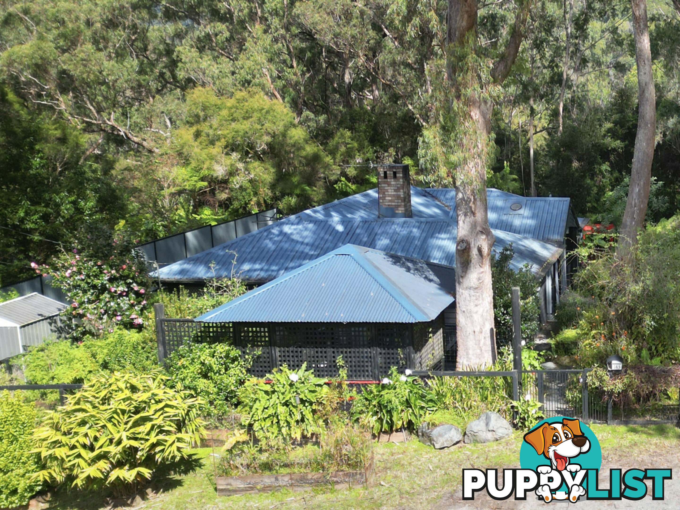 5 Boy-Ull Road SPRINGBROOK QLD 4213