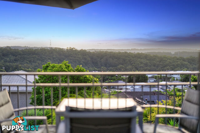 17 Wunburra Circle PACIFIC PINES QLD 4211