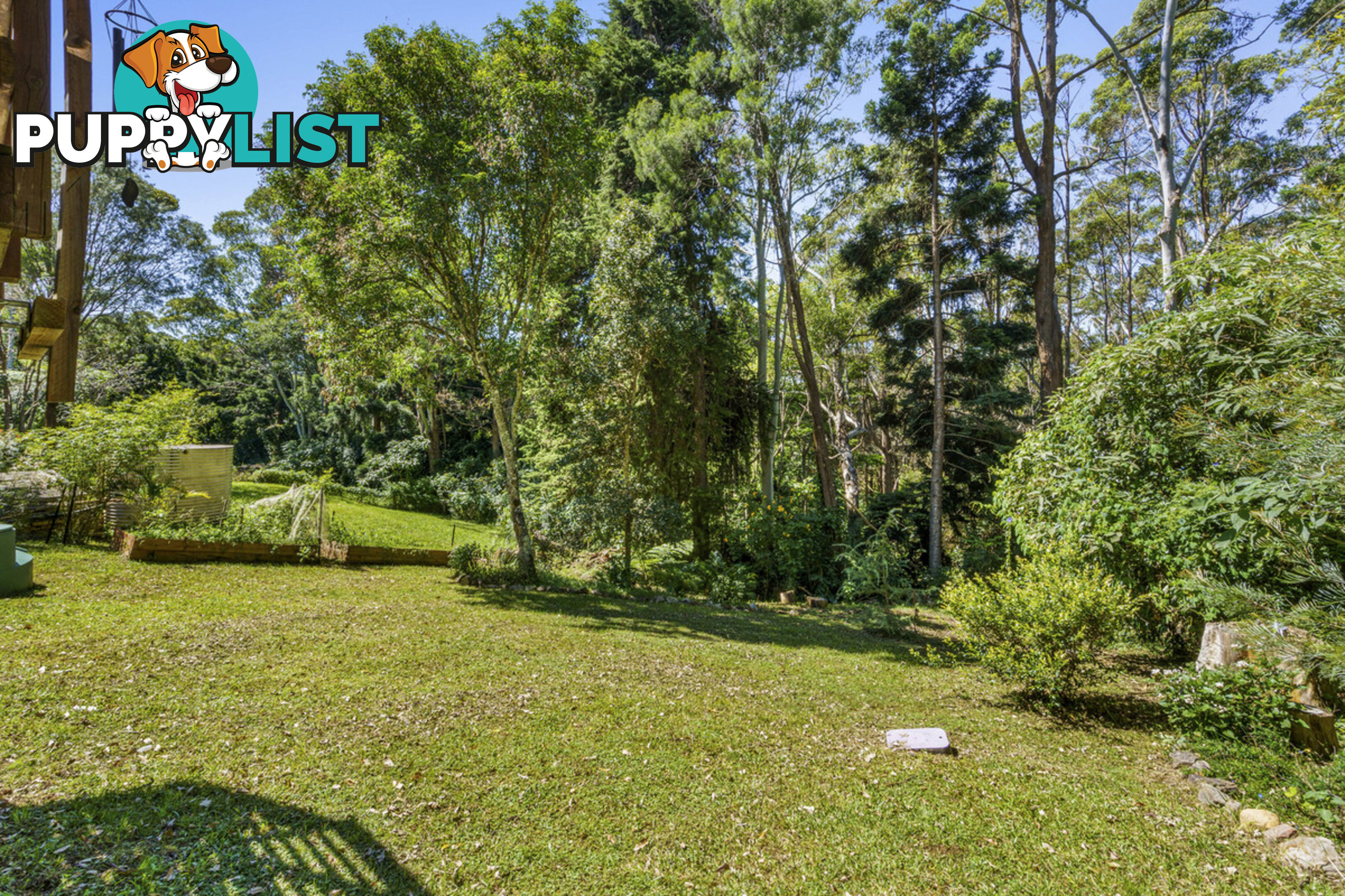 37 Lyrebird Ridge Road SPRINGBROOK QLD 4213