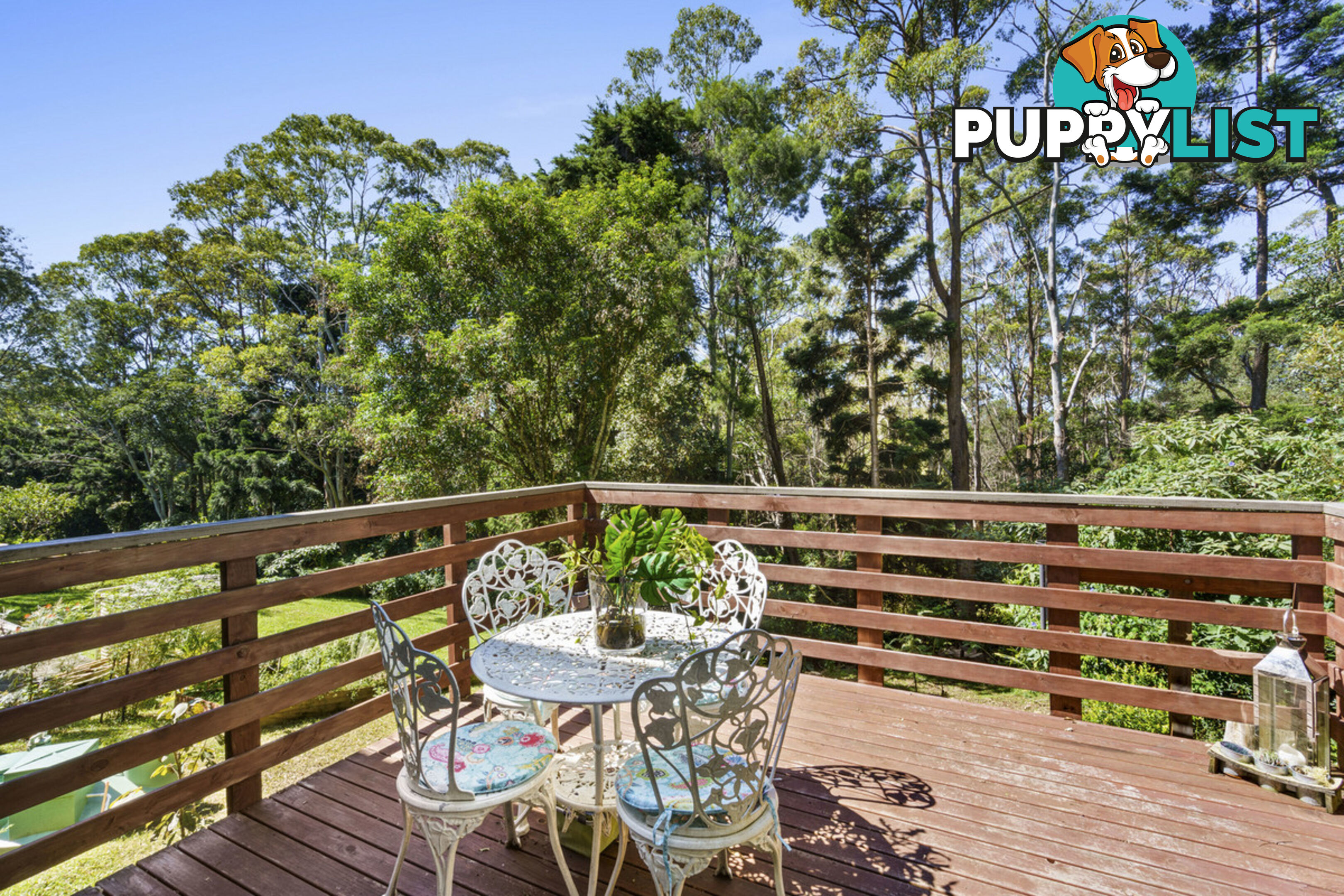 37 Lyrebird Ridge Road SPRINGBROOK QLD 4213