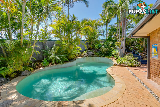 2 Kew Court NERANG QLD 4211