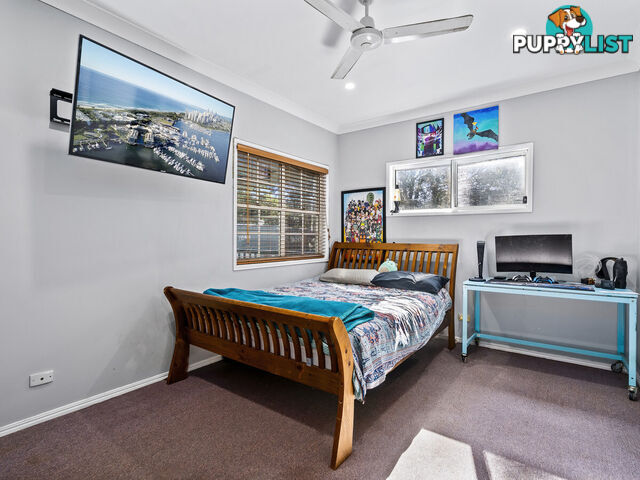 2361-2363 Springbrook Road SPRINGBROOK QLD 4213