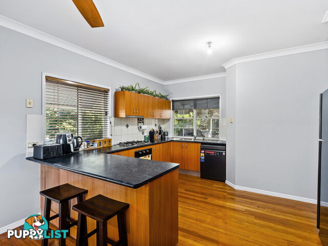 2361-2363 Springbrook Road SPRINGBROOK QLD 4213