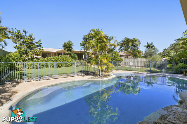 14 Elsemore Court CARRARA QLD 4211