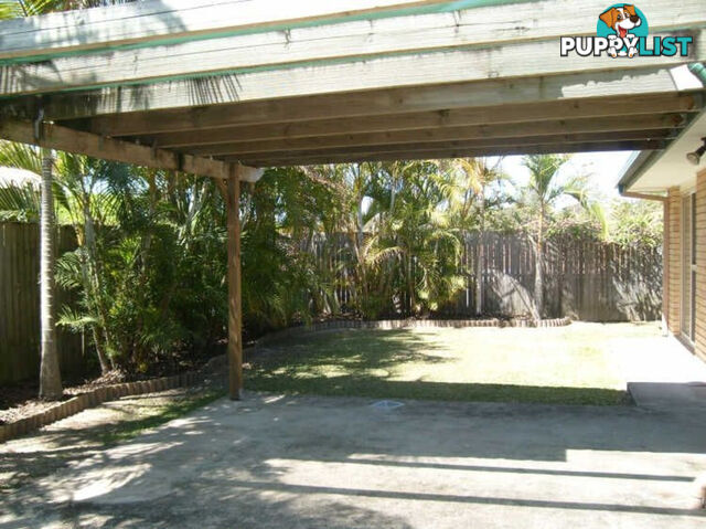 20 Sandalwood Terrace NERANG QLD 4211