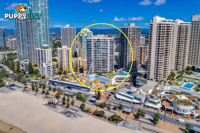 304/9 Trickett Street SURFERS PARADISE QLD 4217