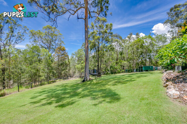 126 Crane Crescent NERANG QLD 4211