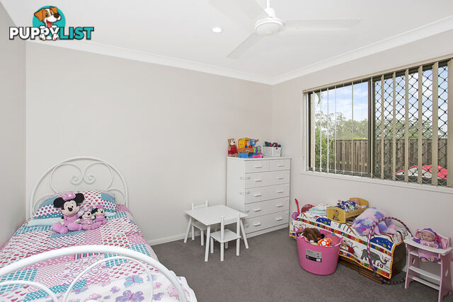 8 Marlee Jayne Close NERANG QLD 4211