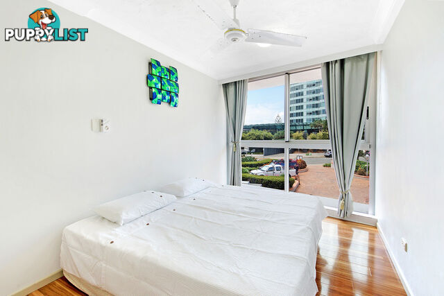 1E/5 Clifford Street SURFERS PARADISE QLD 4217