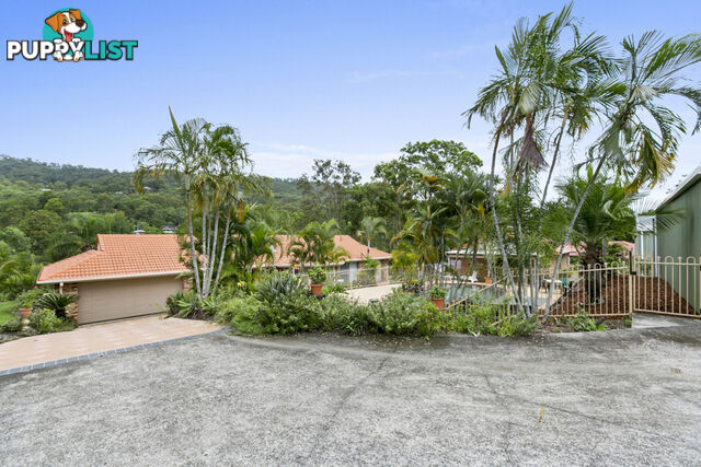 381 Worongary Road TALLAI QLD 4213