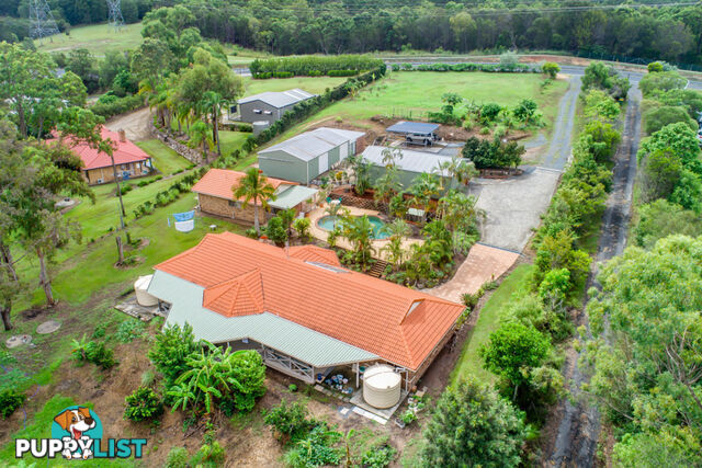 381 Worongary Road TALLAI QLD 4213