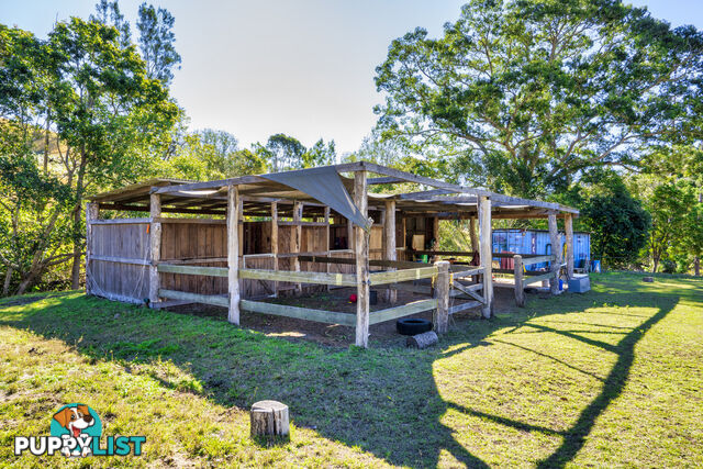 498 Sarabah Road CANUNGRA QLD 4275