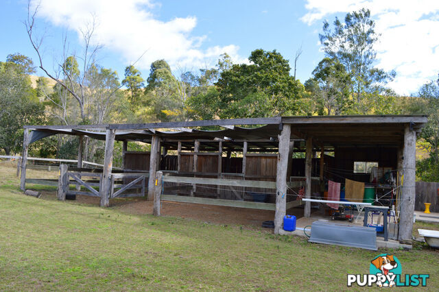 498 Sarabah Road CANUNGRA QLD 4275