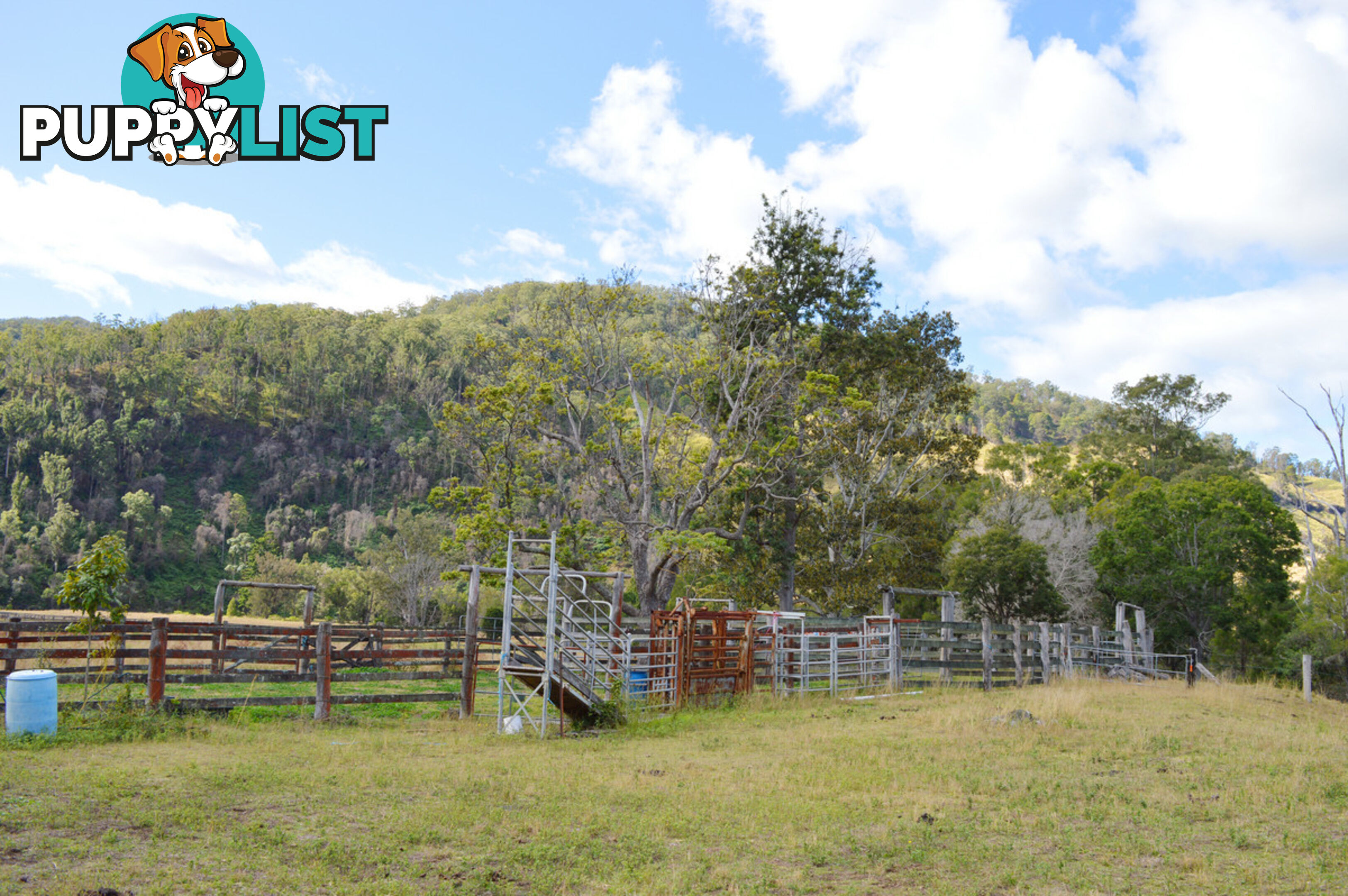 498 Sarabah Road CANUNGRA QLD 4275