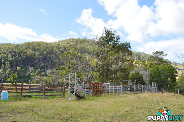 498 Sarabah Road CANUNGRA QLD 4275