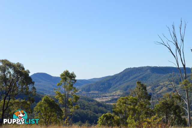 498 Sarabah Road CANUNGRA QLD 4275