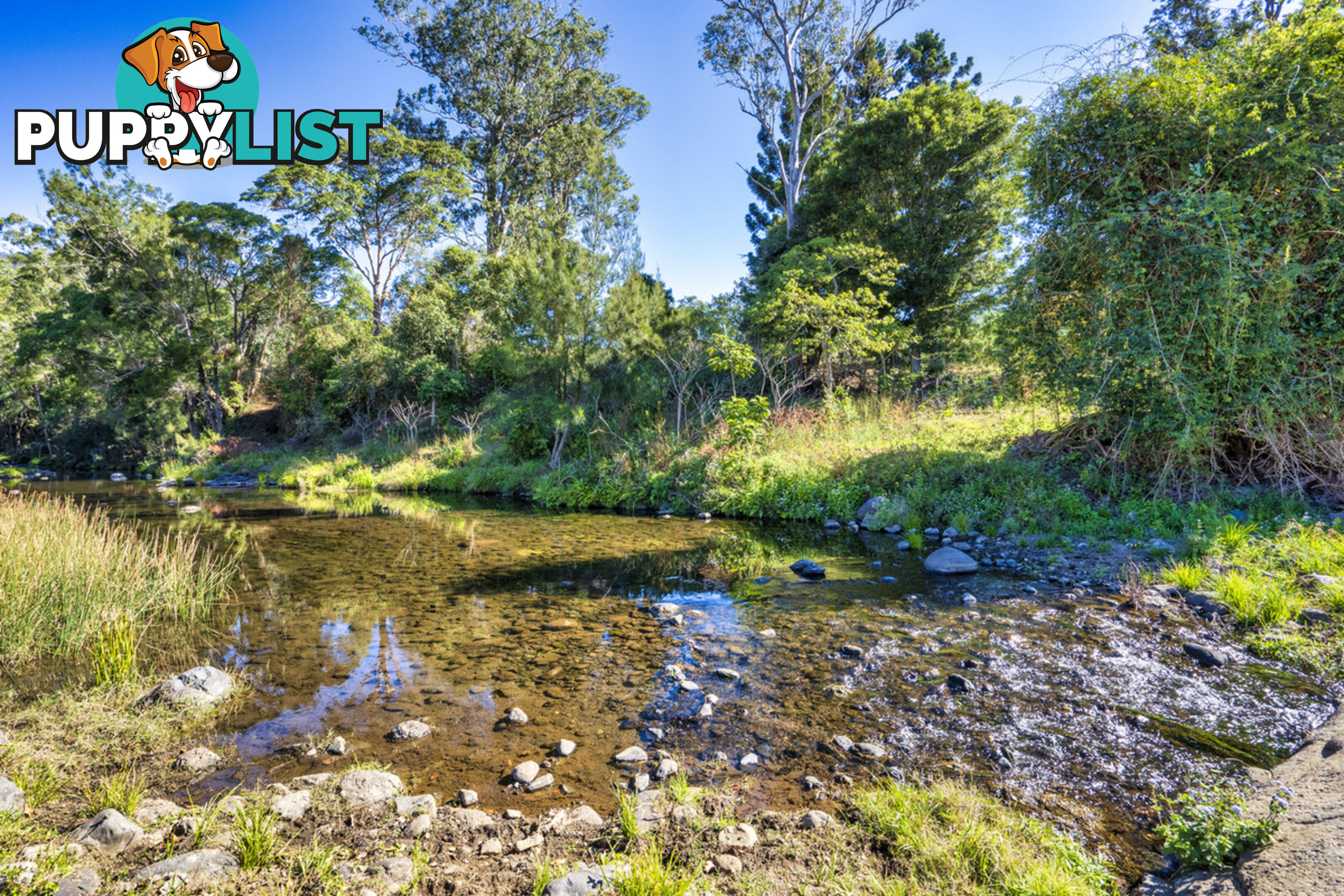 498 Sarabah Road CANUNGRA QLD 4275