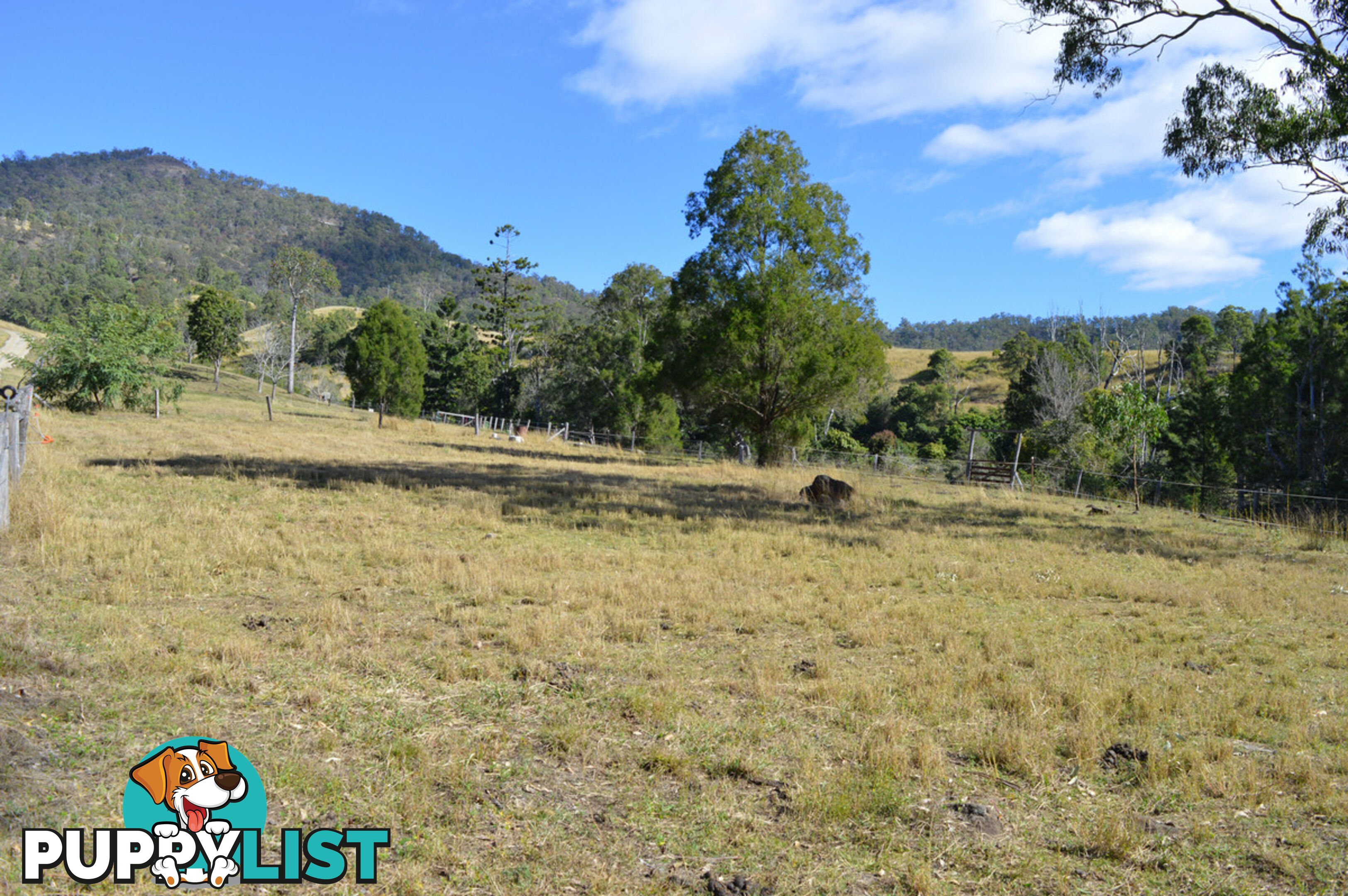 498 Sarabah Road CANUNGRA QLD 4275