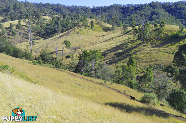 498 Sarabah Road CANUNGRA QLD 4275