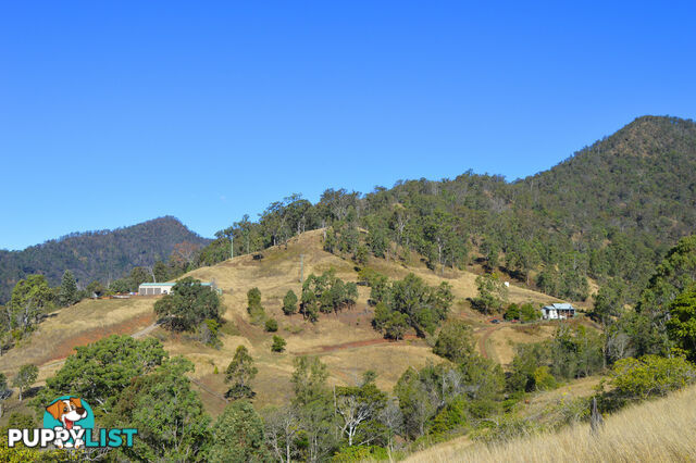 498 Sarabah Road CANUNGRA QLD 4275