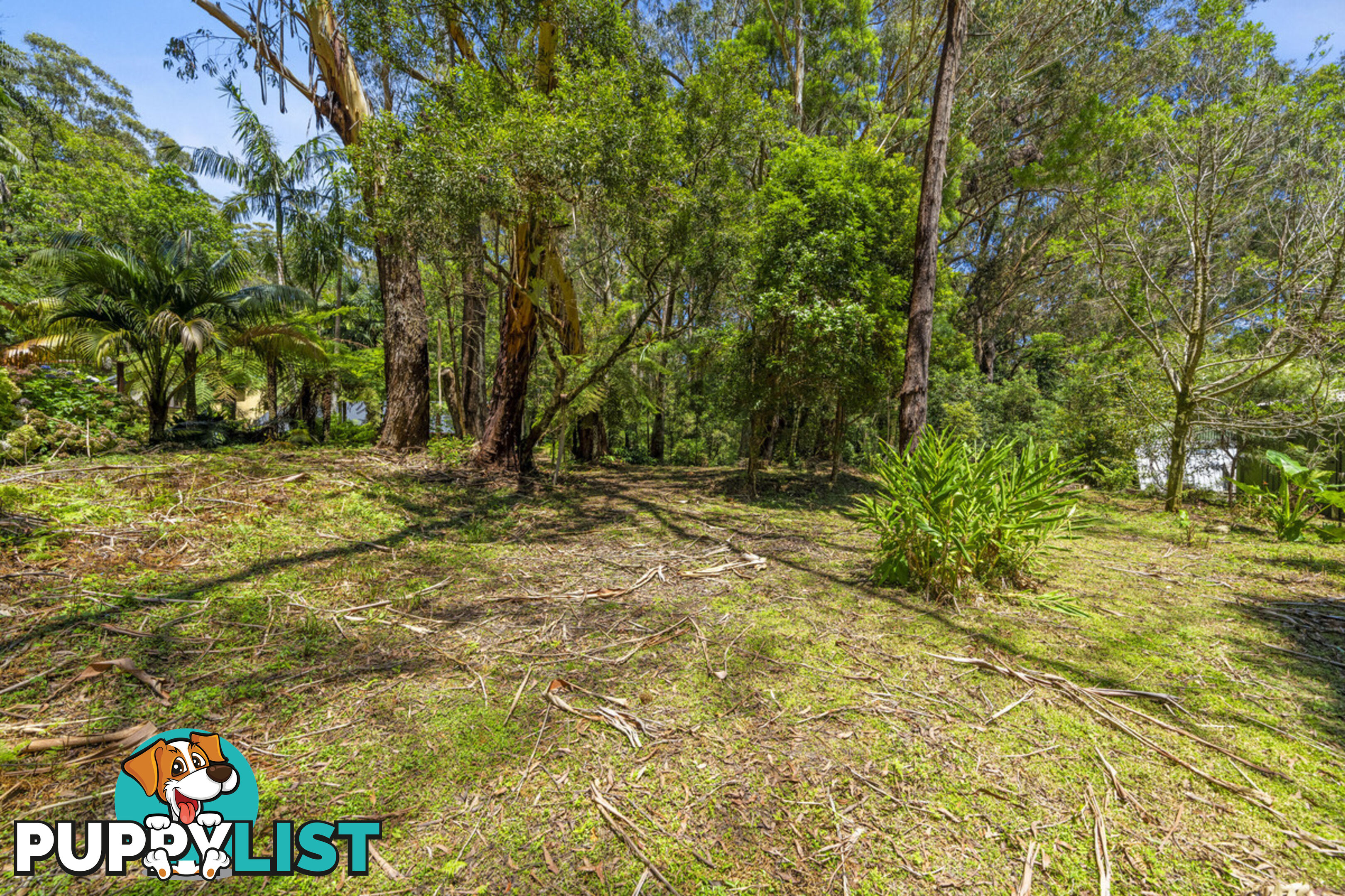 14 Canyon Parade SPRINGBROOK QLD 4213