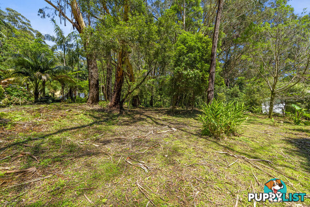 14 Canyon Parade SPRINGBROOK QLD 4213