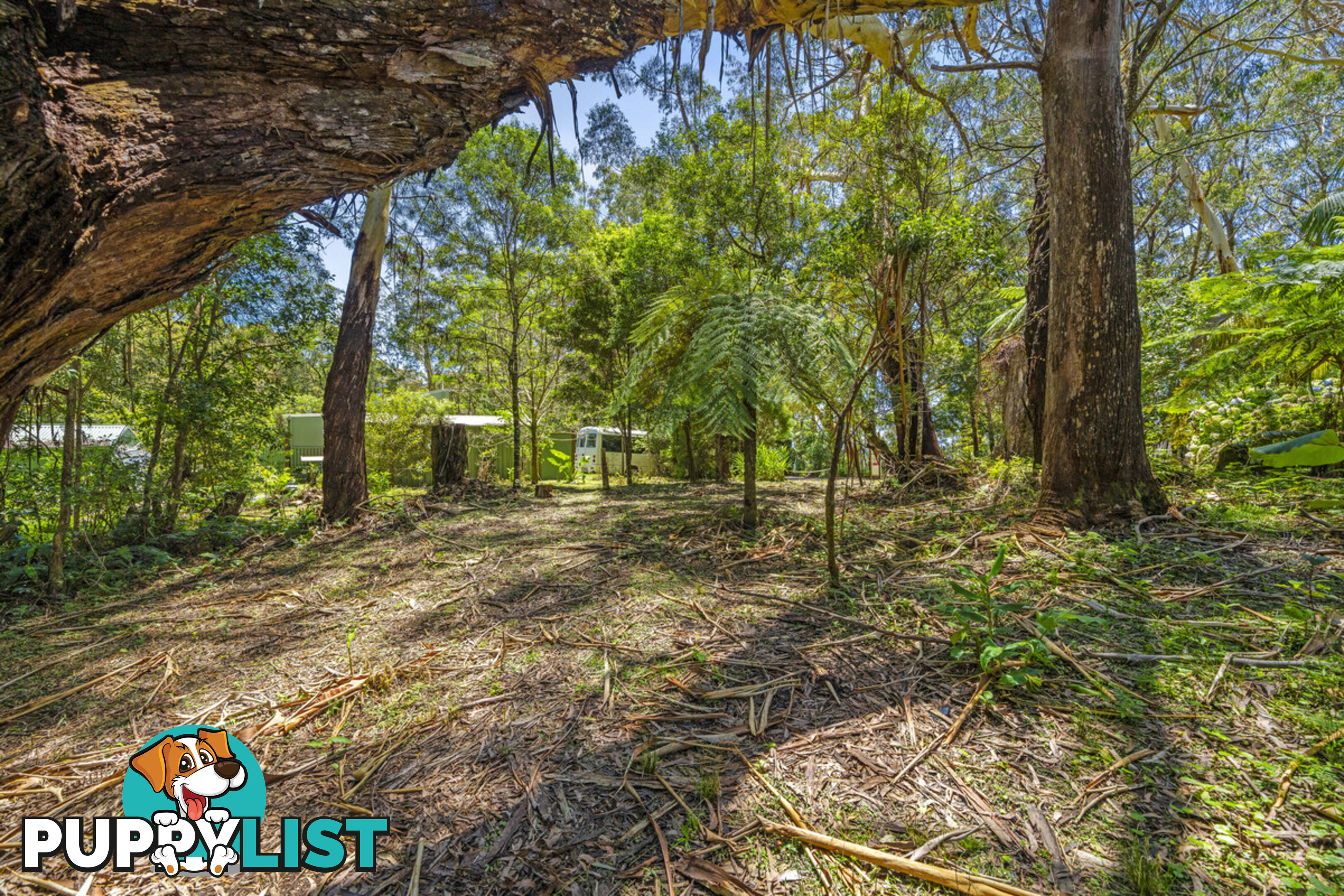 14 Canyon Parade SPRINGBROOK QLD 4213