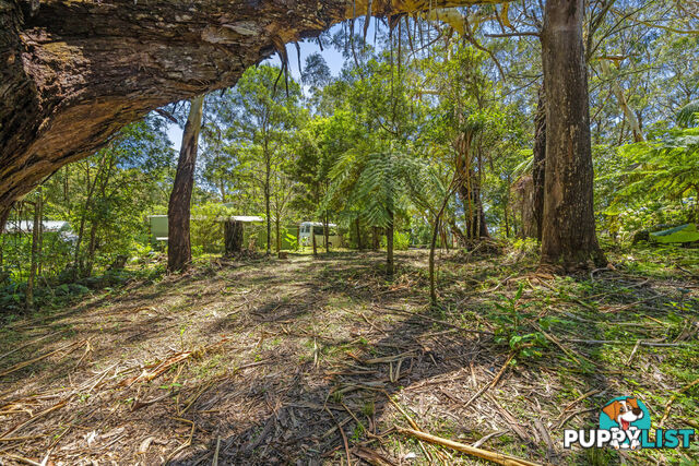 14 Canyon Parade SPRINGBROOK QLD 4213