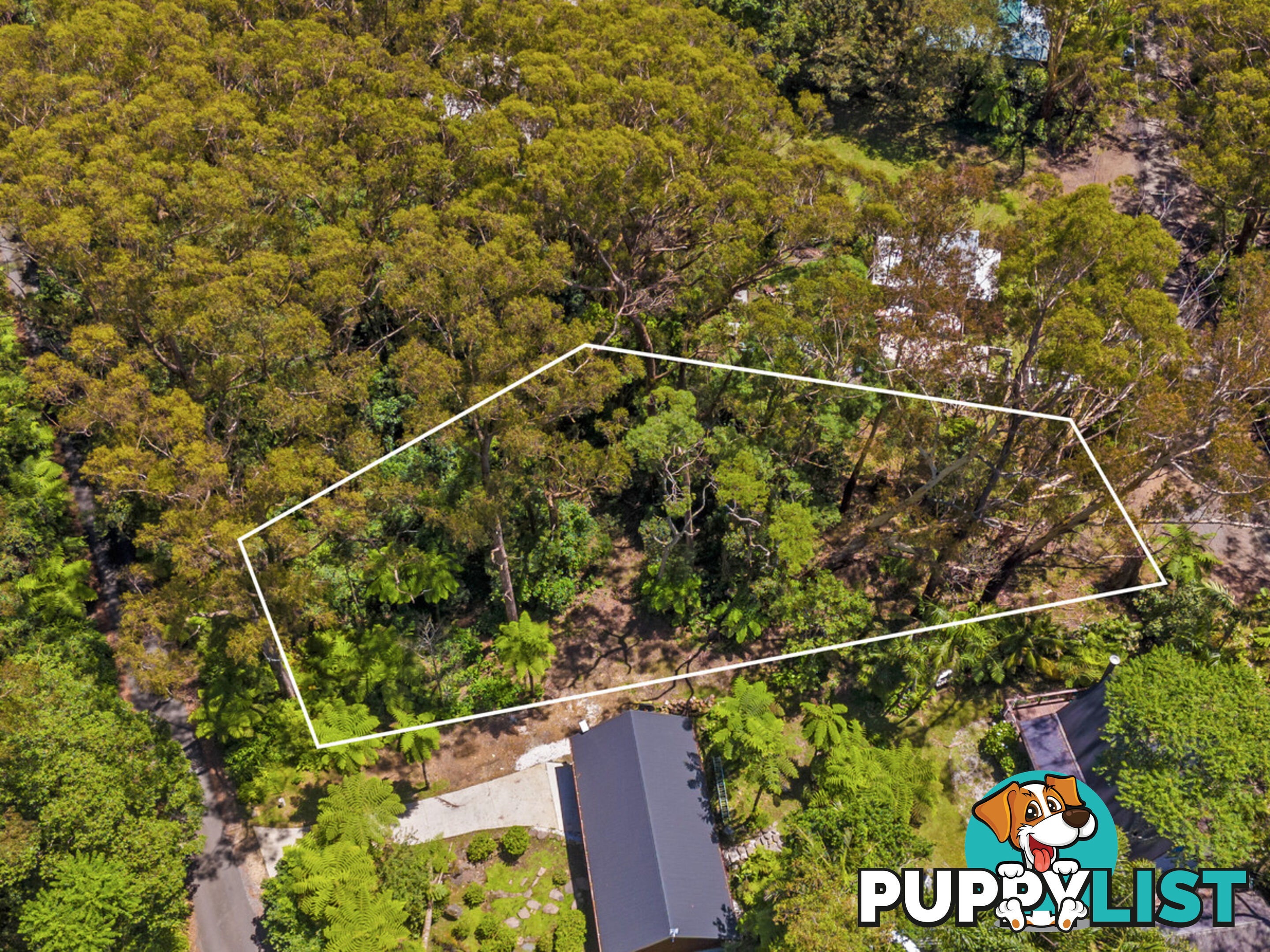 14 Canyon Parade SPRINGBROOK QLD 4213