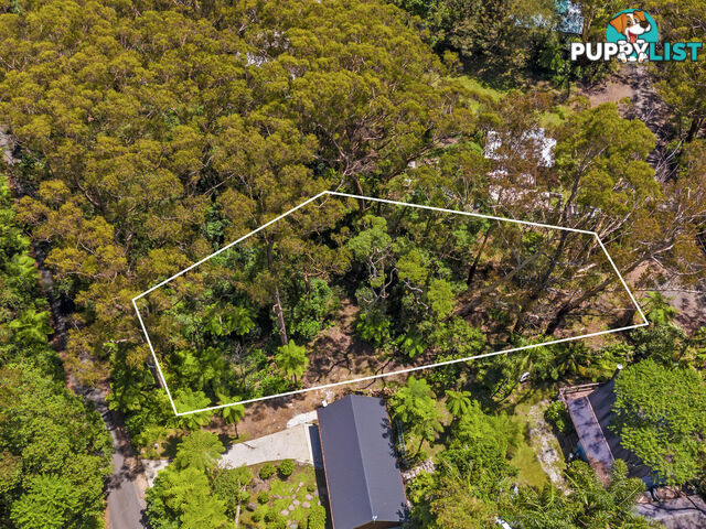 14 Canyon Parade SPRINGBROOK QLD 4213