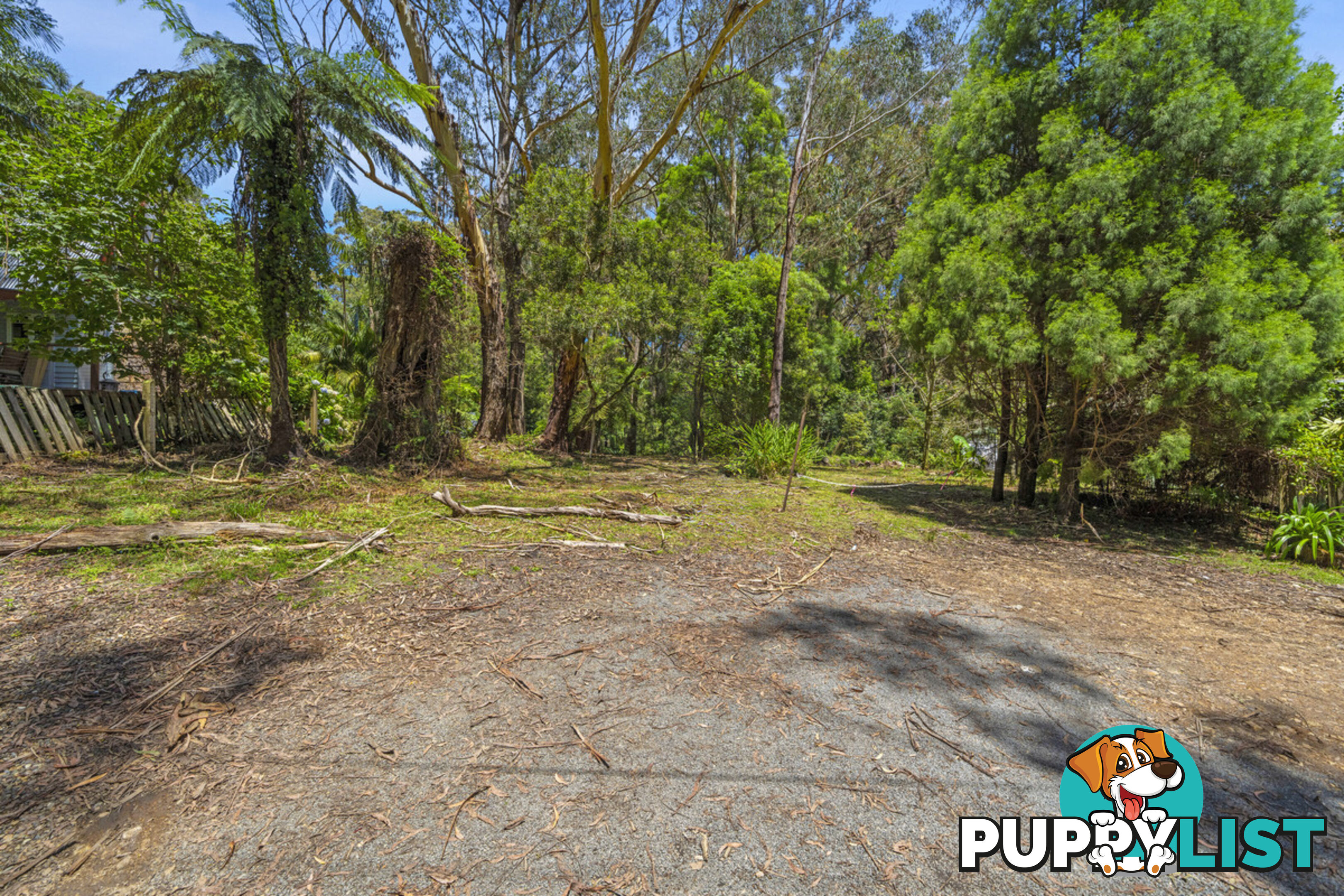 14 Canyon Parade SPRINGBROOK QLD 4213