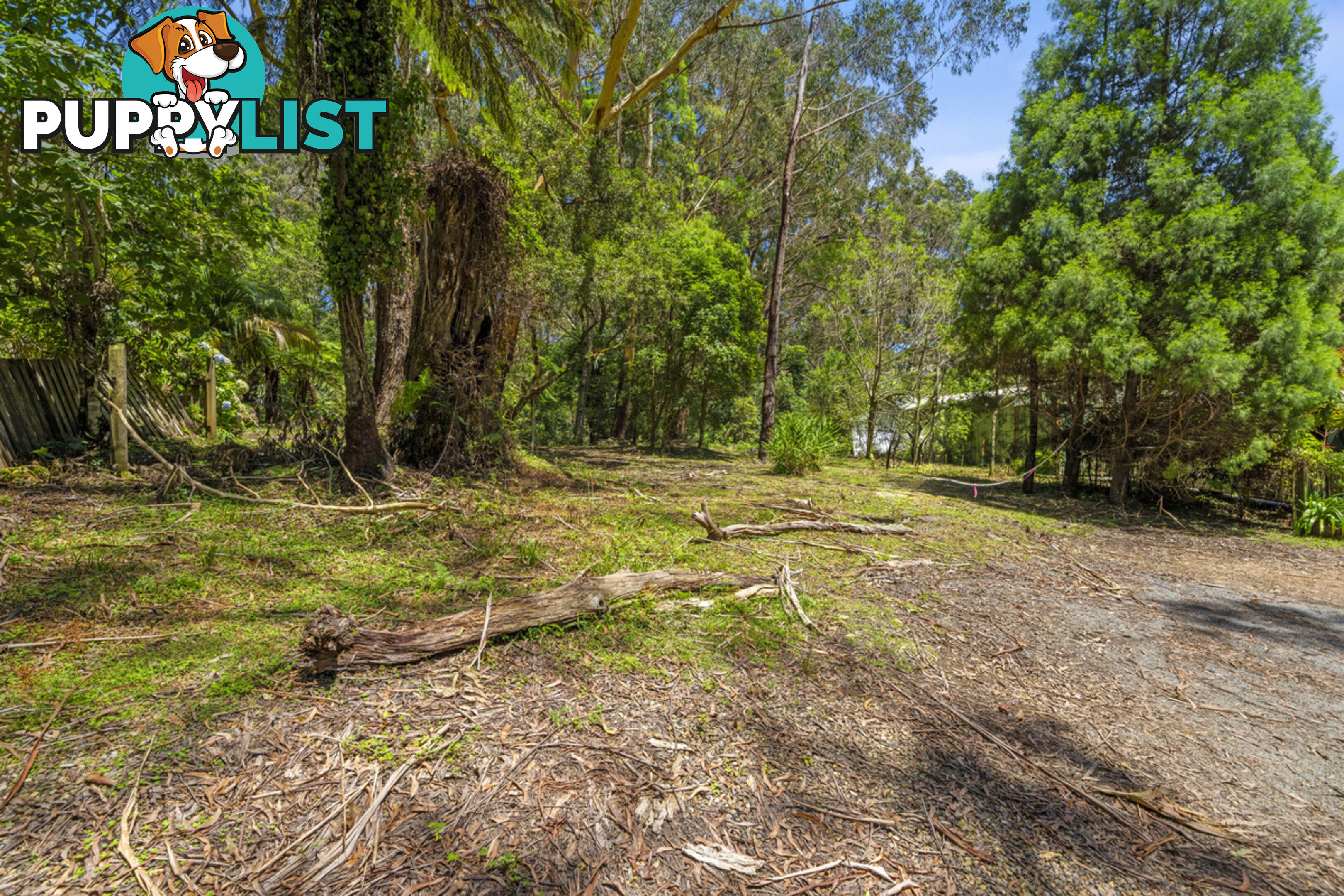 14 Canyon Parade SPRINGBROOK QLD 4213