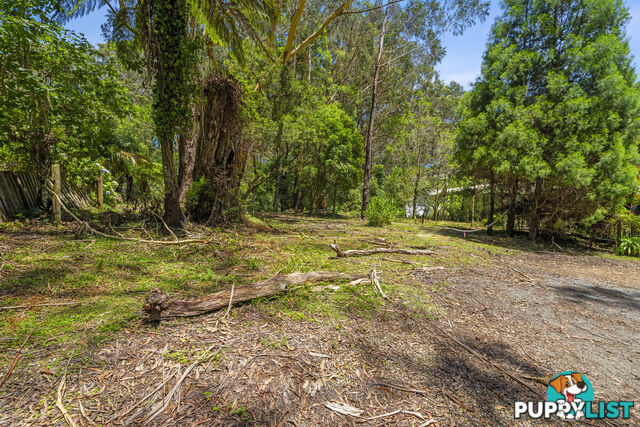 14 Canyon Parade SPRINGBROOK QLD 4213