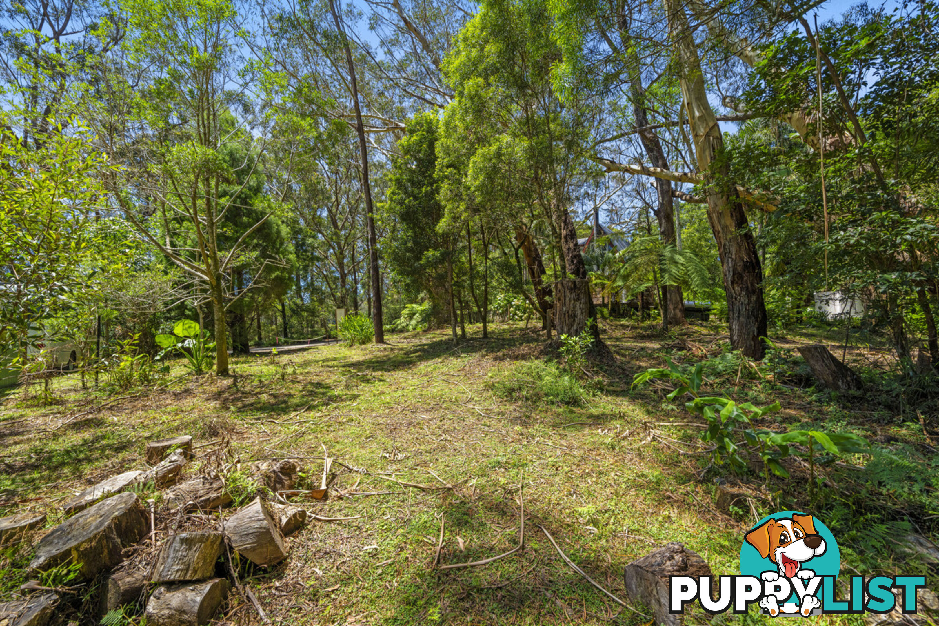 14 Canyon Parade SPRINGBROOK QLD 4213