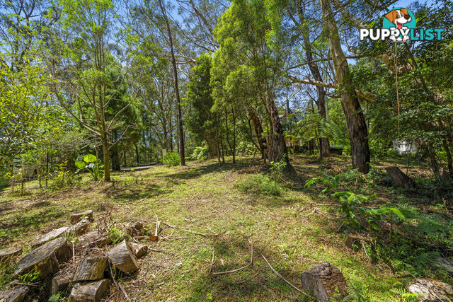 14 Canyon Parade SPRINGBROOK QLD 4213