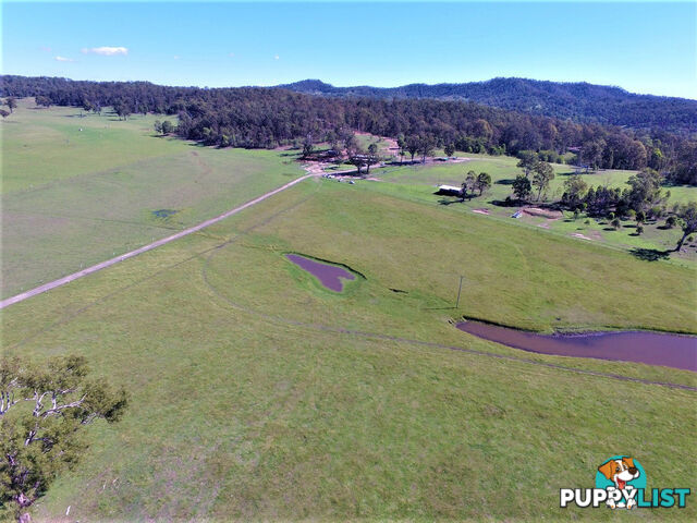 Lot 2/400 Biddaddaba Creek Road BIDDADDABA QLD 4275