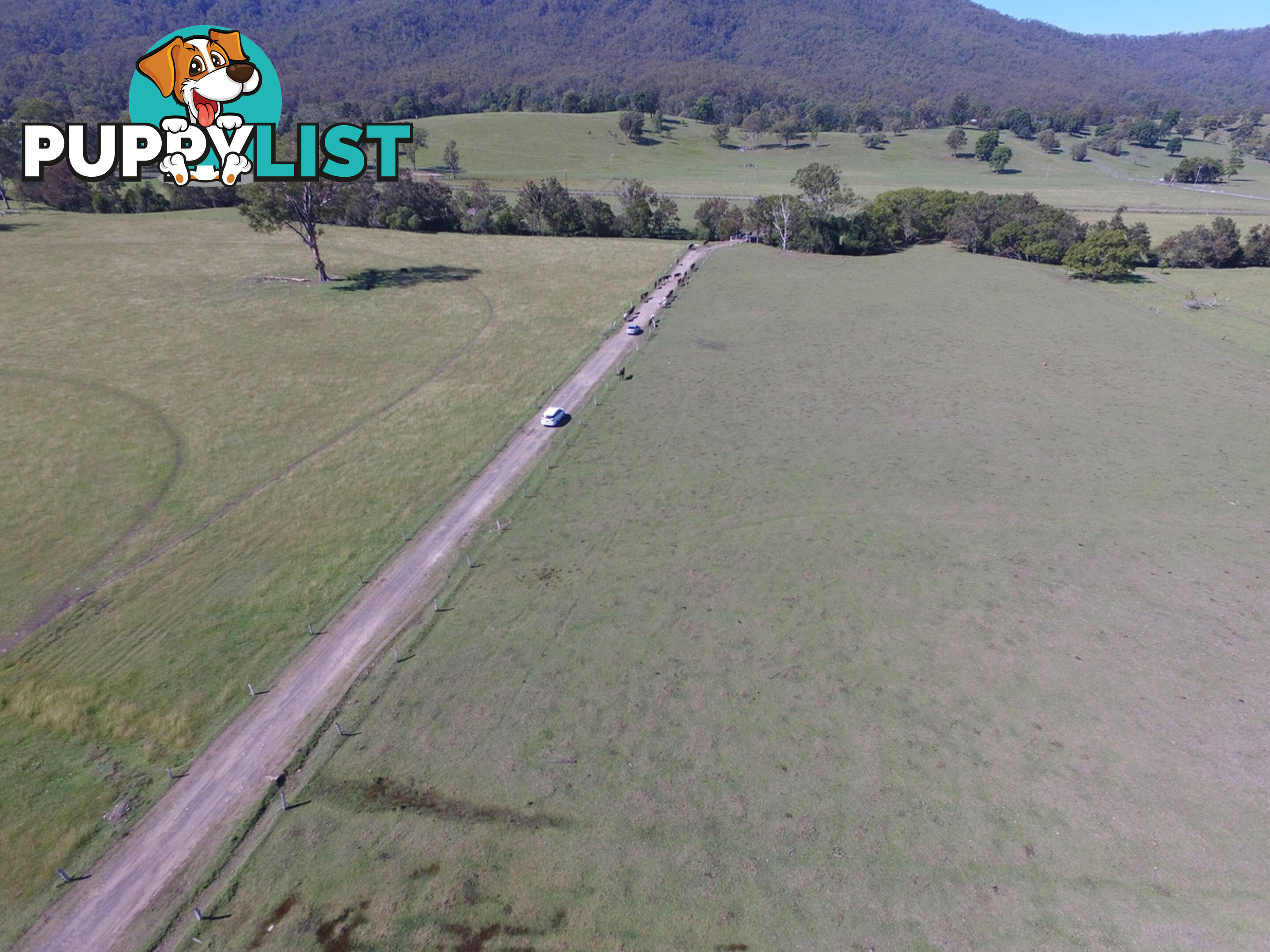 Lot 2/400 Biddaddaba Creek Road BIDDADDABA QLD 4275