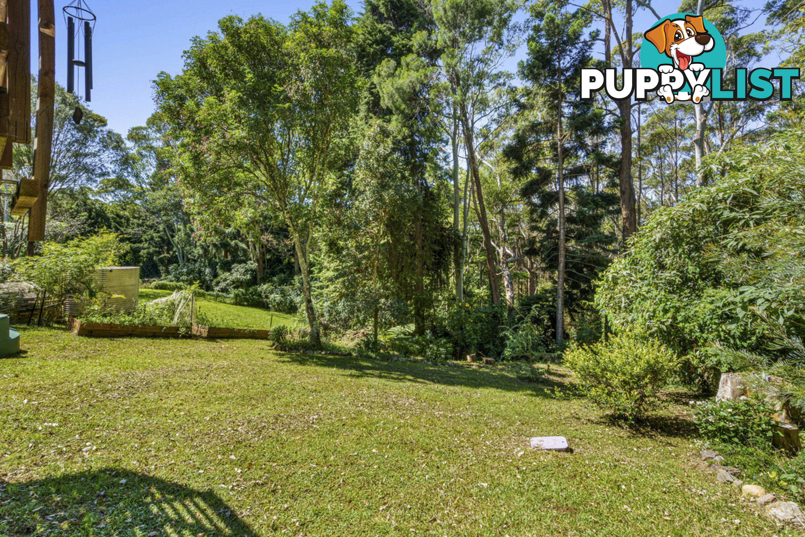 37 Lyrebird Ridge Road SPRINGBROOK QLD 4213